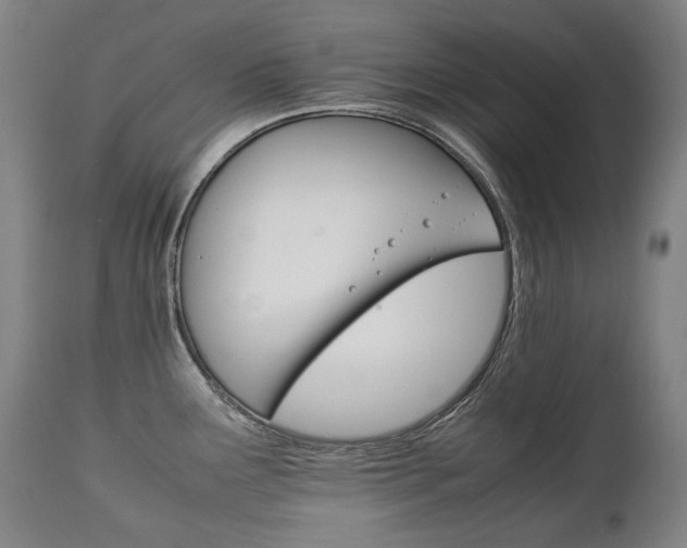 X0000111231291200907021350
