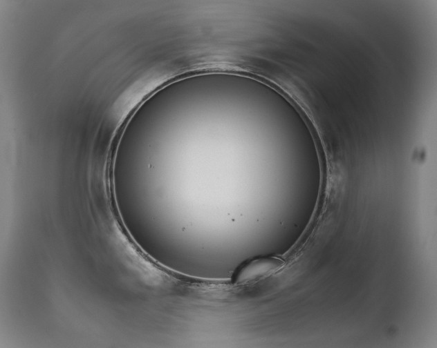X0000111231293200907021350