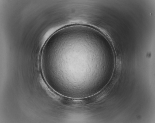 X0000111231295200907021350