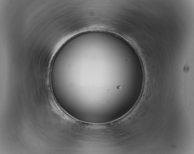 X0000111231296200907021350
