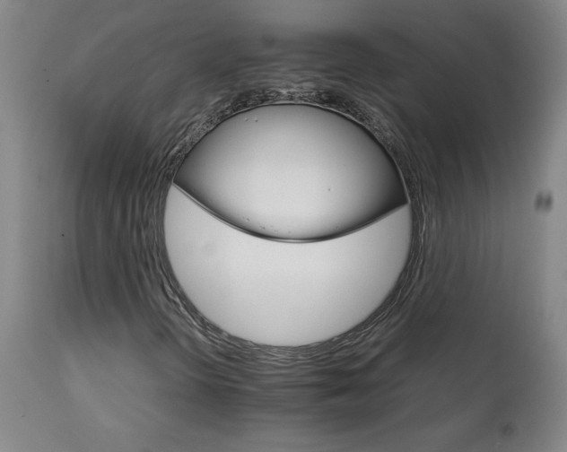 X0000111231298200907021349