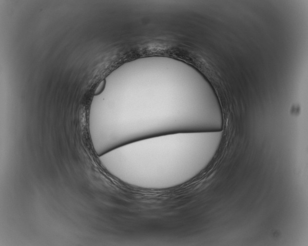 X0000111231299200907021349