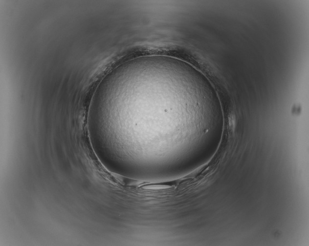 X0000111231300200907021349