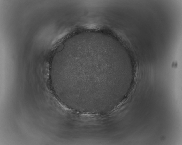 X0000111231301200907021349