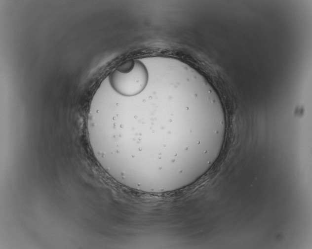 X0000111231302200907021349