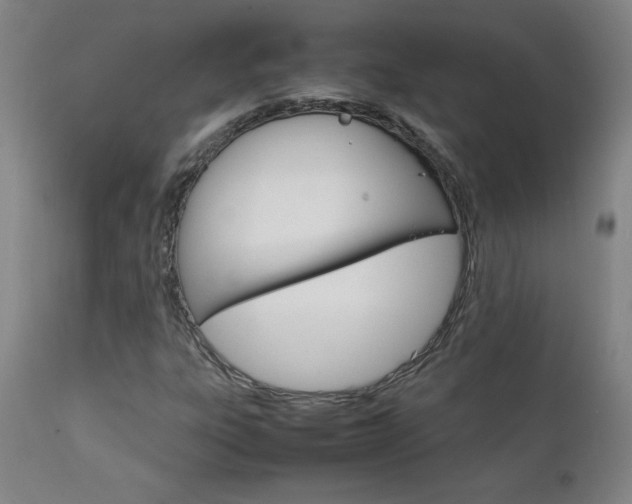 X0000111231303200907021349
