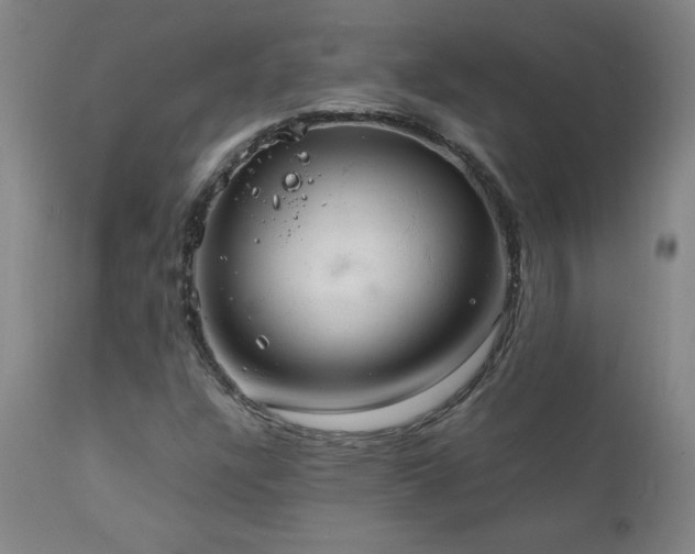 X0000111231304200907021349