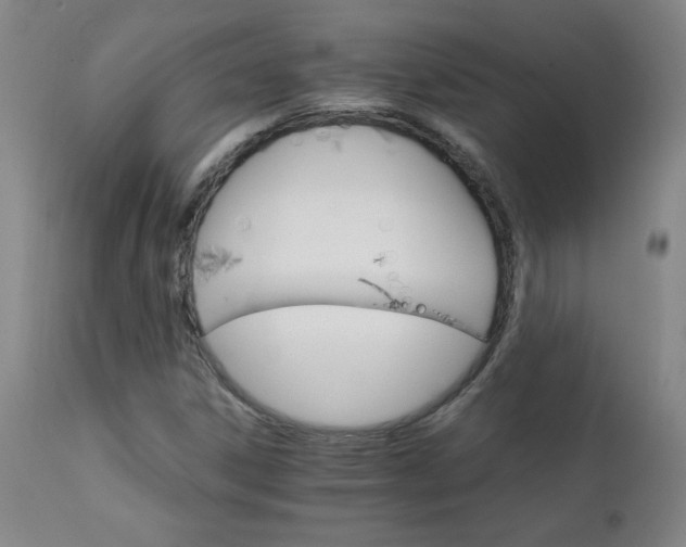 X0000111231306200907021349