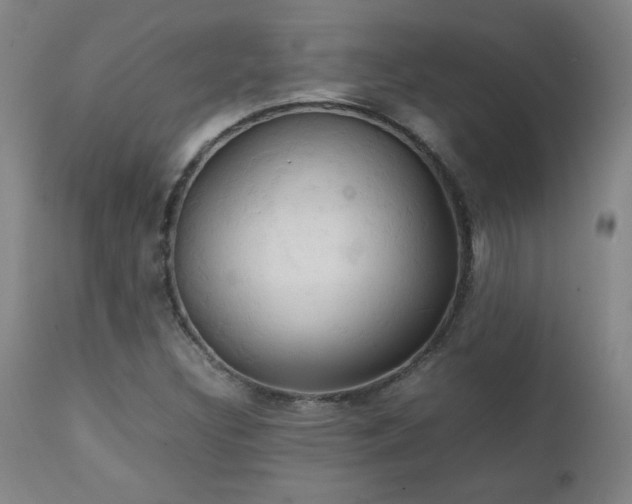 X0000111231308200907021349