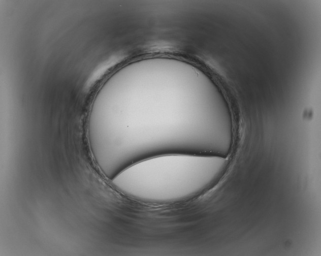 X0000111231309200907021349