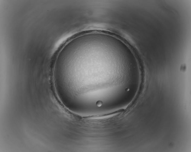 X0000111231312200907021349