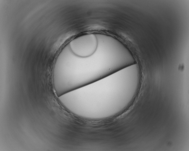 X0000111231313200907021349