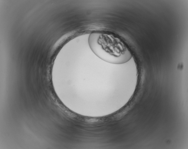 X0000111231314200907021349