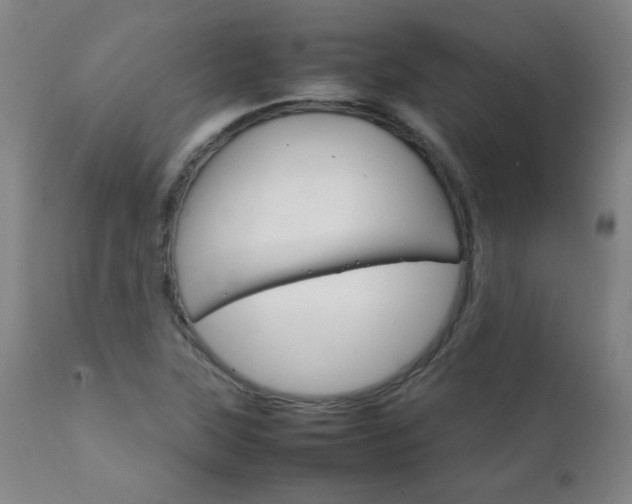 X0000111231315200907021349