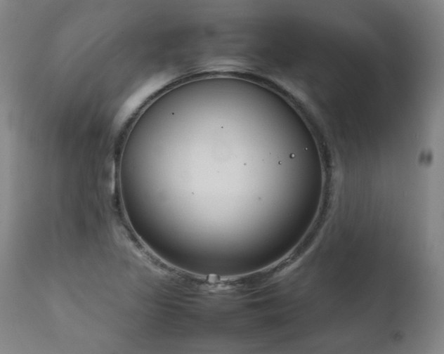 X0000111231317200907021349