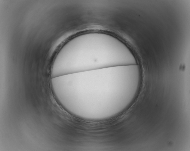 X0000111231318200907021349