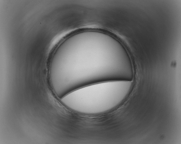 X0000111231319200907021349