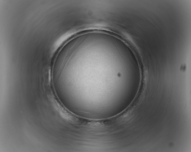 X0000111231320200907021349