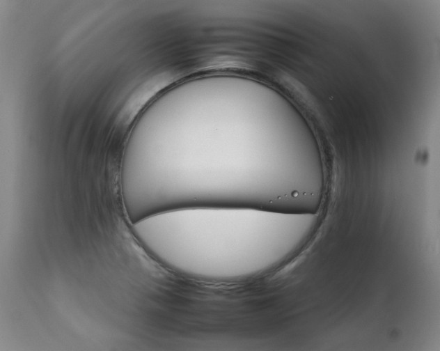 X0000111231321200907021349