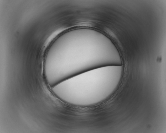 X0000111231323200907021349