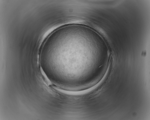 X0000111231324200907021349
