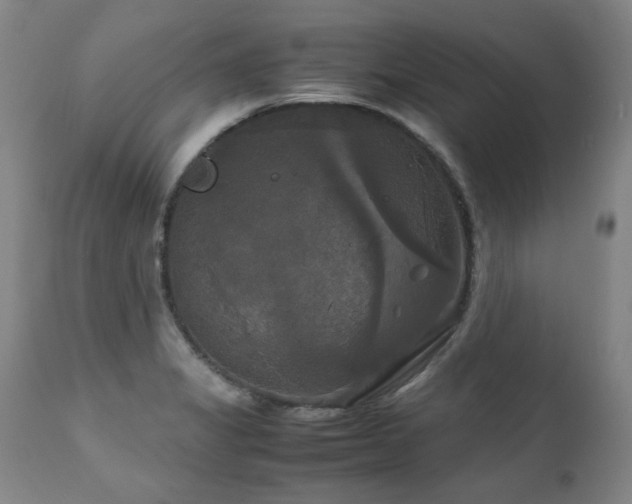 X0000111231325200907021350