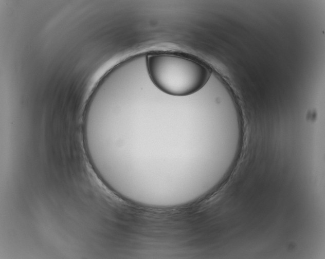 X0000111231326200907021350