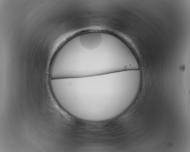 X0000111231327200907021350