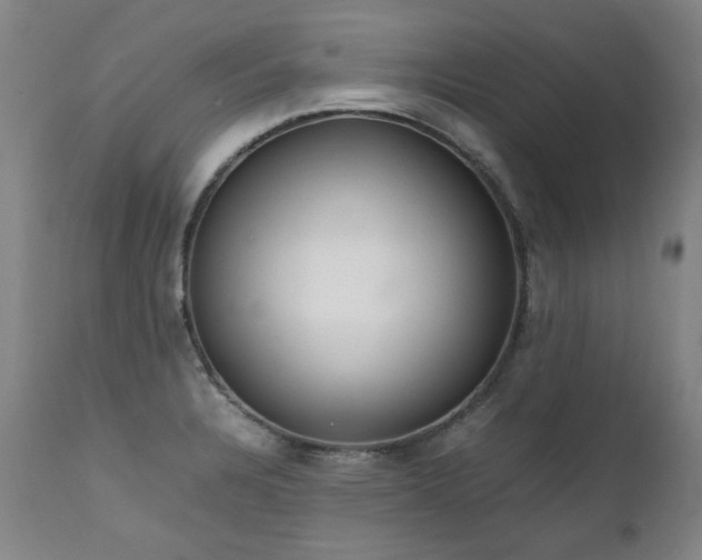 X0000111231328200907021350