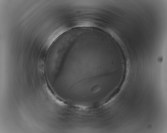 X0000111231329200907021350
