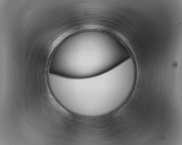 X0000111231330200907021350