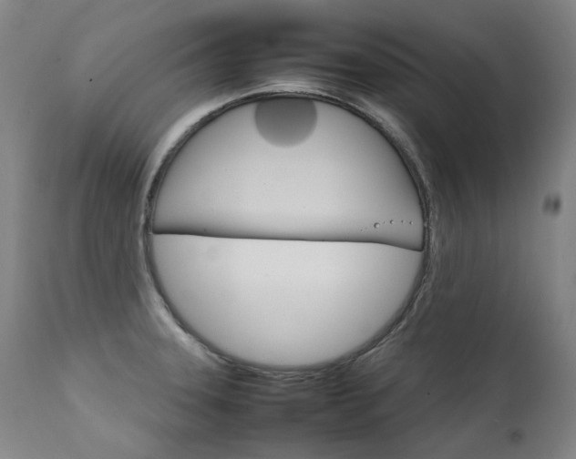 X0000111231331200907021350