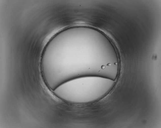 X0000111231333200907021350
