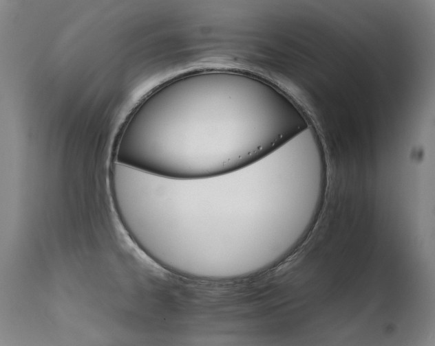 X0000111231334200907021350