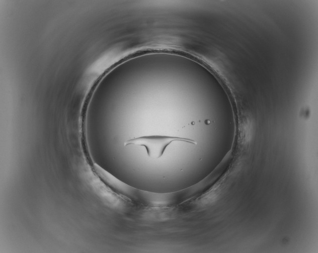 X0000111231335200907021350
