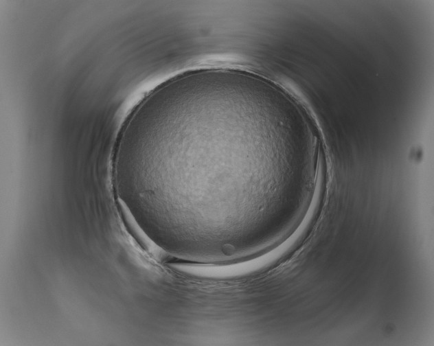X0000111231336200907021350