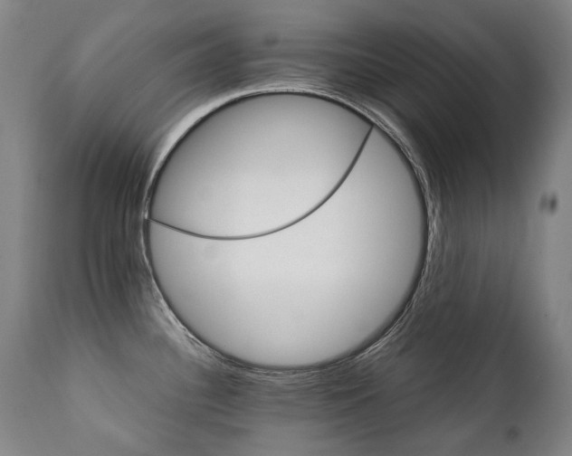 X0000111231340200907021350