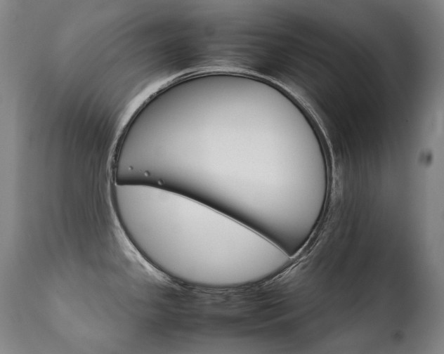 X0000111231341200907021350