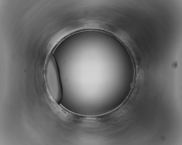 X0000111231342200907021350