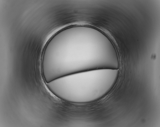 X0000111231343200907021350