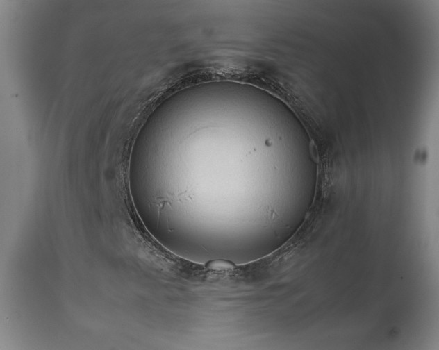 X0000111231345200907021349