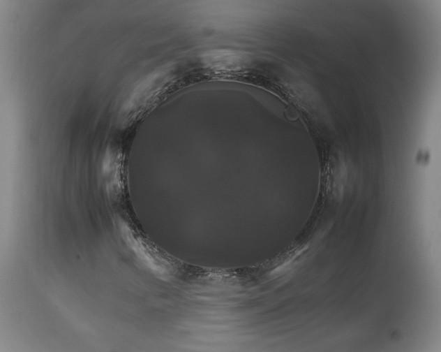 X0000111231346200907021349