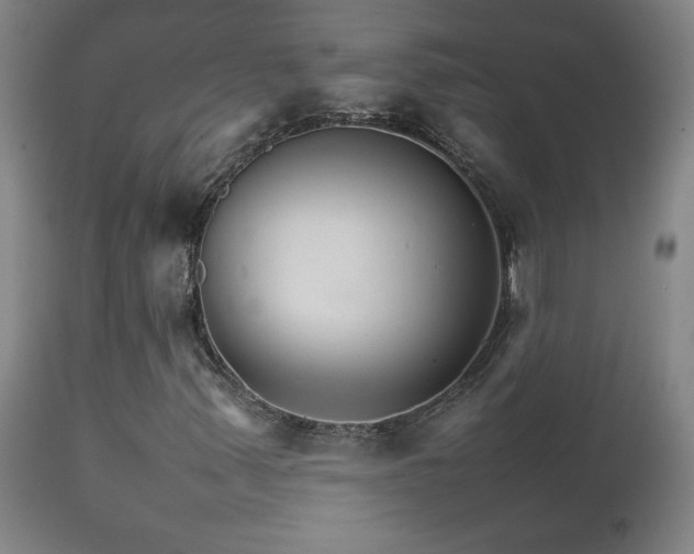 X0000111231347200907021349