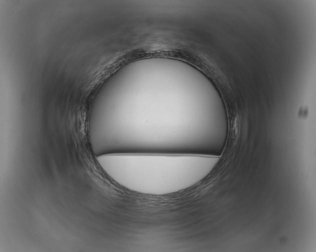 X0000111231348200907021349