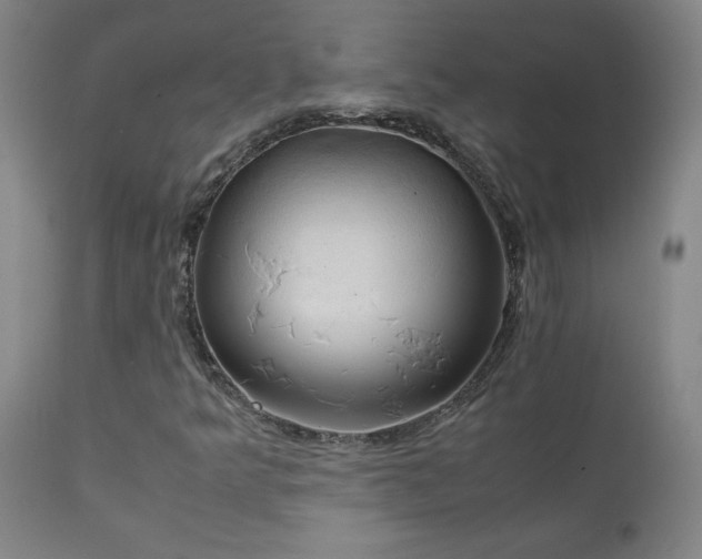 X0000111231349200907021349