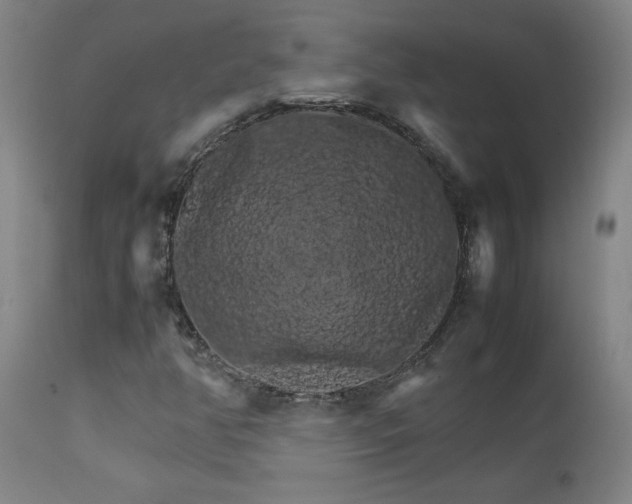 X0000111231350200907021349