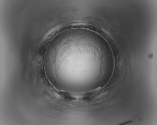 X0000111231351200907021349