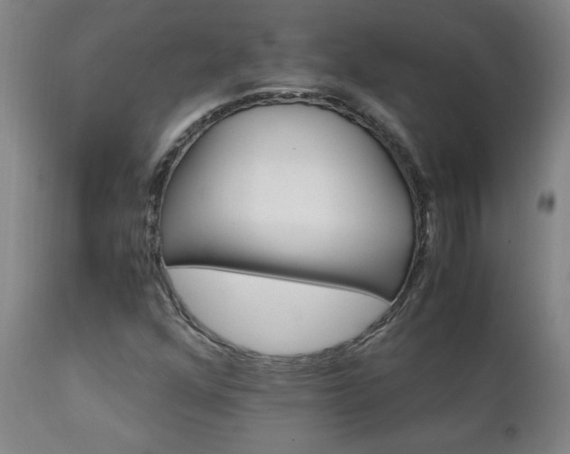 X0000111231352200907021349