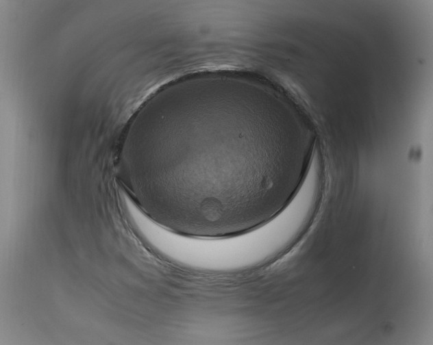 X0000111231353200907021349