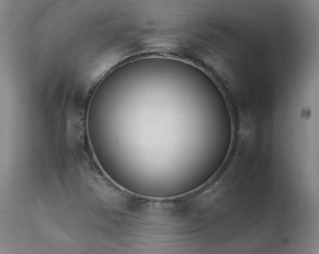 X0000111231354200907021349